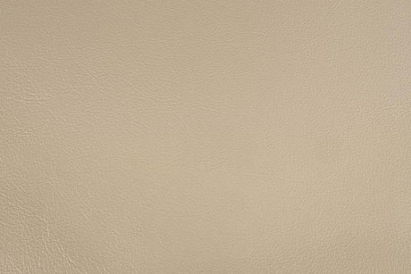 Sorina - Eastern King Bed - Synthetic Leather & Antique Gold