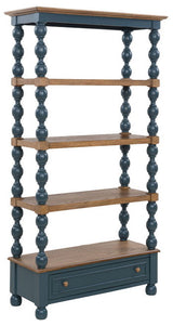 Finnworth - Bookcase - Blue / Brown