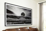 Deborland - Wall Art - Black / White