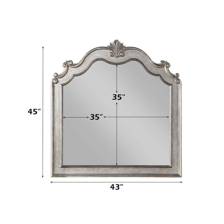 Esteban - Mirror - Antique Champagne